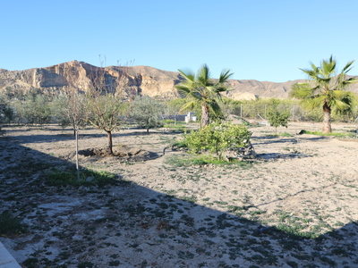 Land for sale in Cuevas del Almanzora, Almeria