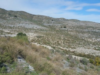 Terreno en venta en Lorca, Murcia