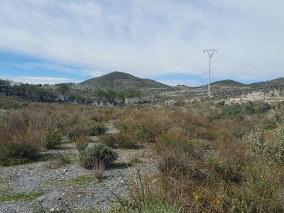 Land for sale in Lorca, Murcia