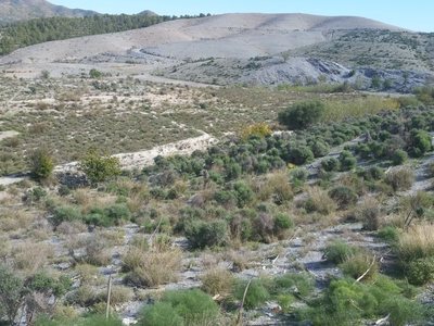 Land à vendre en Lorca, Murcia