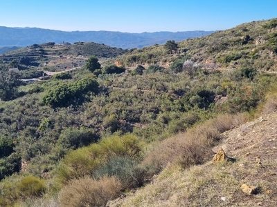 Terreno en venta en Bedar, Almeria