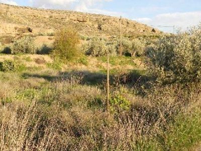 Land for sale in Albox, Almeria