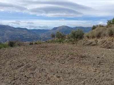 Land for sale in Lucar, Almeria